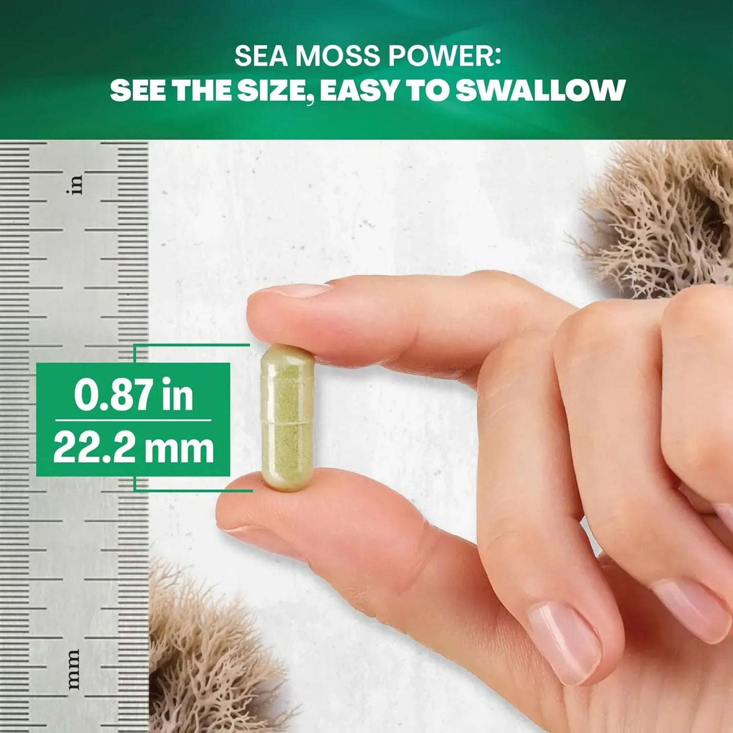 Sea moss : Complément Naturel pour une Digestion Sain