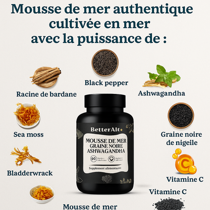 Shilajit sea moss